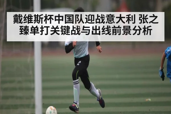 戴维斯杯中国队迎战意大利 张之臻单打关键战与出线前景分析 | jiuyou.com